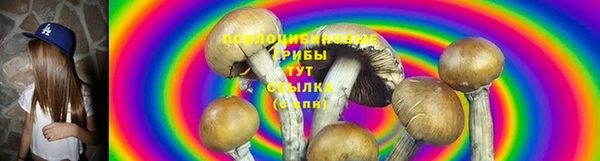 соль ск Богданович