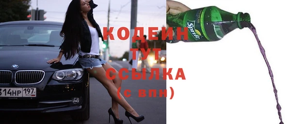 соль ск Богданович