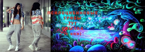 дурь Богородск