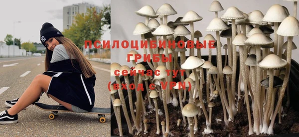 дурь Богородск