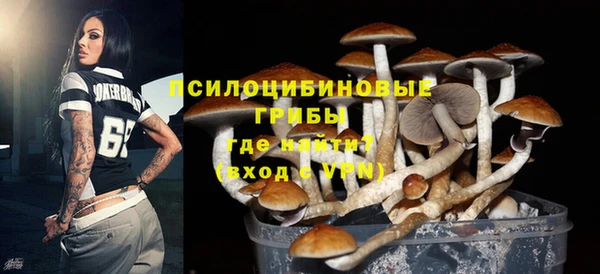 соль ск Богданович