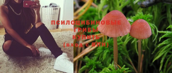 спайс Богородицк